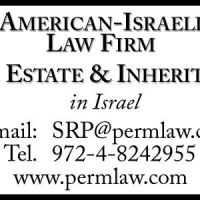 Israeli Lawyer-Israeli Attorney-Israeli Law Offices ico