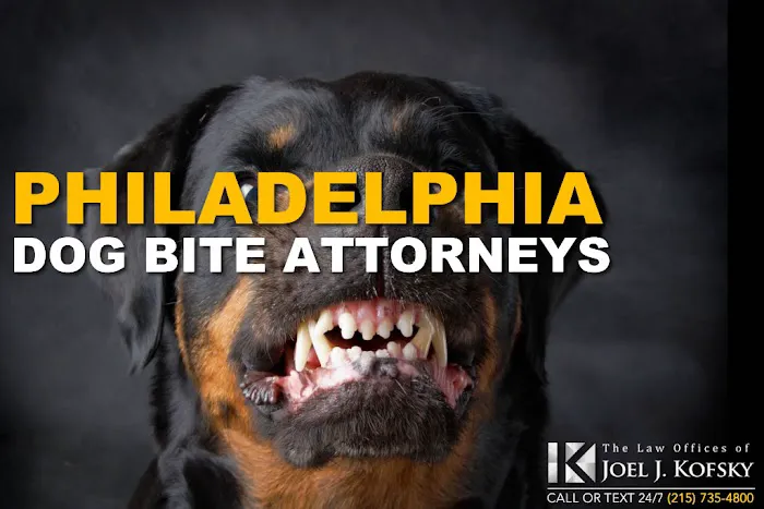 Philly Injury Lawyer - Personal Injury Attorneys 5