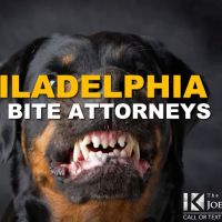 Philly Injury Lawyer - Personal Injury Attorneys ico