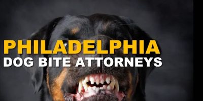 Philly Injury Lawyer - Personal Injury Attorneys
