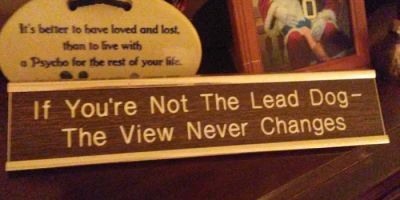 Zabel & Associates, LLC