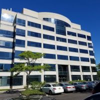 White and Williams LLP ico
