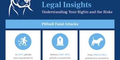 The New Jersey Dog Bite Lawyer, Mt Laurel NJ