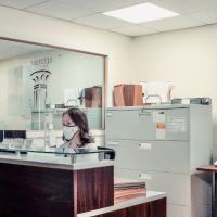 LEVITSKY LAW FIRM ico