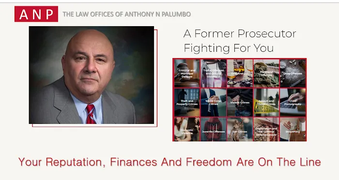 Law Offices of Anthony N. Palumbo 4