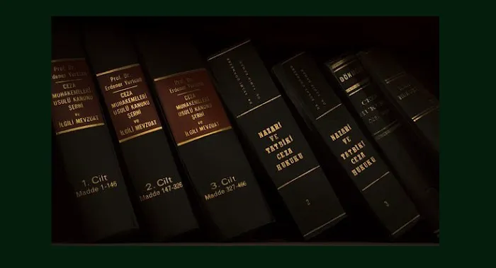 Law Office of Leo M. Pall, Esq. 3