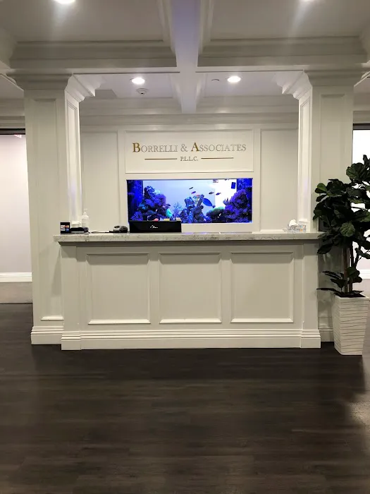 Borrelli & Associates P.L.L.C. 4