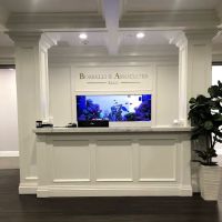 Borrelli & Associates P.L.L.C. ico
