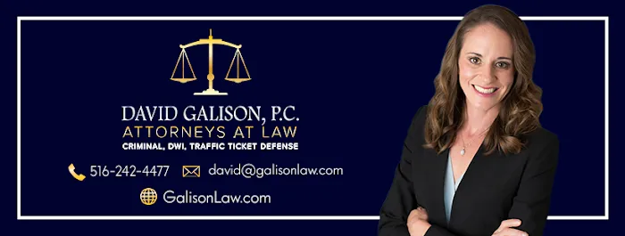 The Law Firm of David Galison, P.C. 4