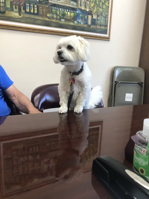 Thomas D. Benigno Attorney at Law 4