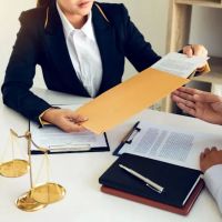 Law Office of Alexandra Nieves-Martinez, Esq. ico