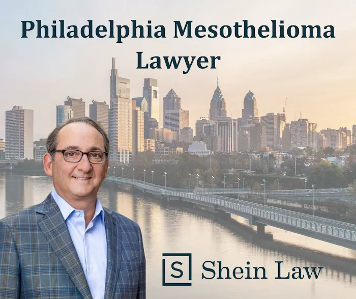 Shein Law 5