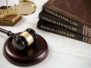 Immigration Lawyer for Asylum Seekers: Legal Help and Support in the USA