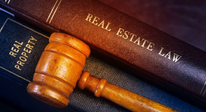 Apex Lawyers 4