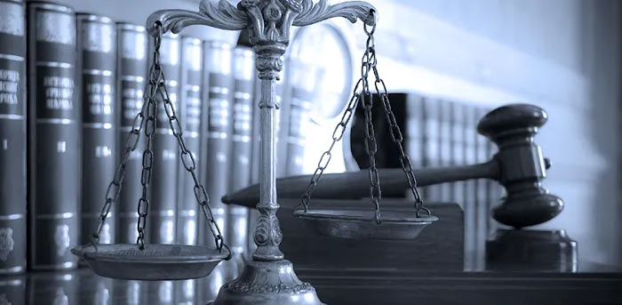 Apex Lawyers 4