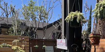 Law Offices of Scott Glovsky