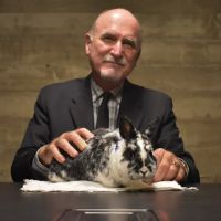 Ferdinand Peters, Esq. Law Firm ico