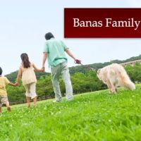 Banas Family Law ico