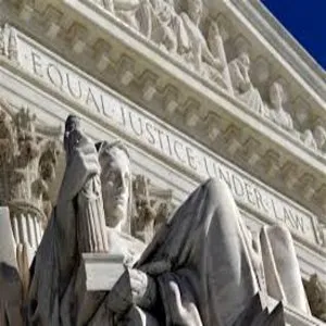 Lynne Torgerson Criminal Defense Attorney 5