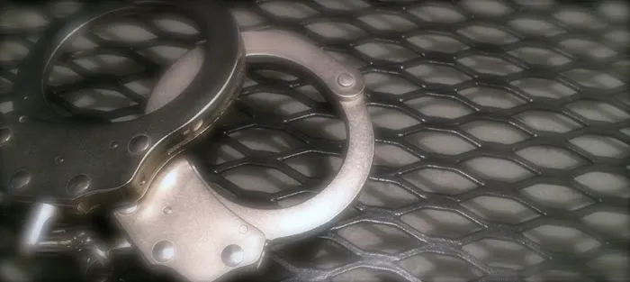 Johnson Criminal Defense 5