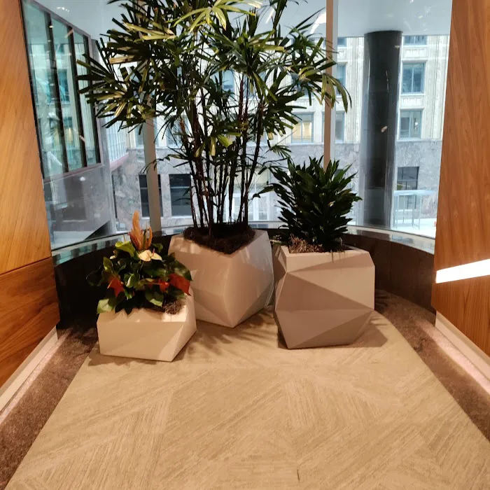Cascarano Law Office 5