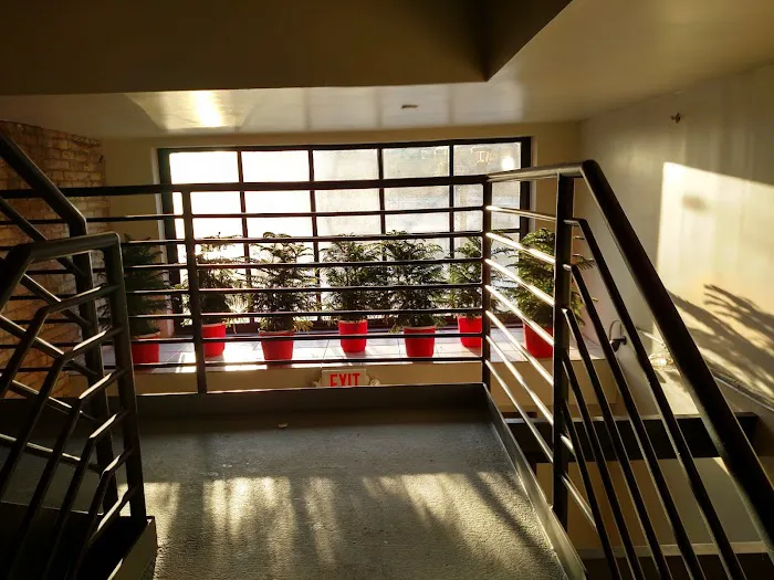Robert Wilson & Associates 5