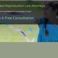 Steven H. Snyder and Associates ico