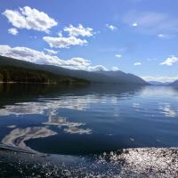 Amy F. Steerman LLC ico