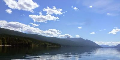Amy F. Steerman LLC