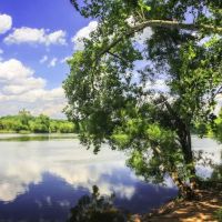 Janet E. Brown, P.C. Family Law Attorney ico
