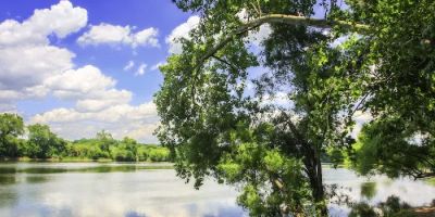 Janet E. Brown, P.C. Family Law Attorney