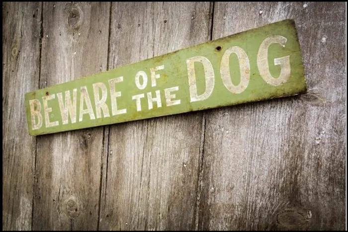 The PA Dog Bite Lawyer Jeffrey H. Penneys, P.C. 5