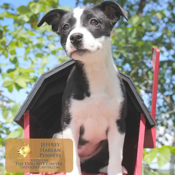 The PA Dog Bite Lawyer Jeffrey H. Penneys, P.C. 5
