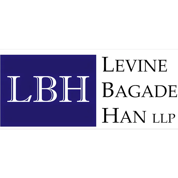 Levine Bagade Han LLP 4