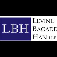 Levine Bagade Han LLP ico