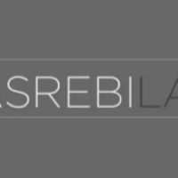 Yasrebi Law Immigration Attorneys ico