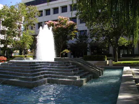 Law Office of Cheri E. Michaelis 5