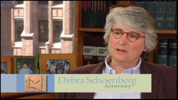 Schoenberg Family Law Group, P.C. - Divorce Attorneys 5