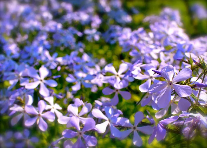 Bryant Estate Planning & Elder Law 5