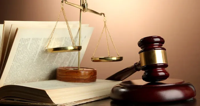 Law Offices of Elainie Honjas 5