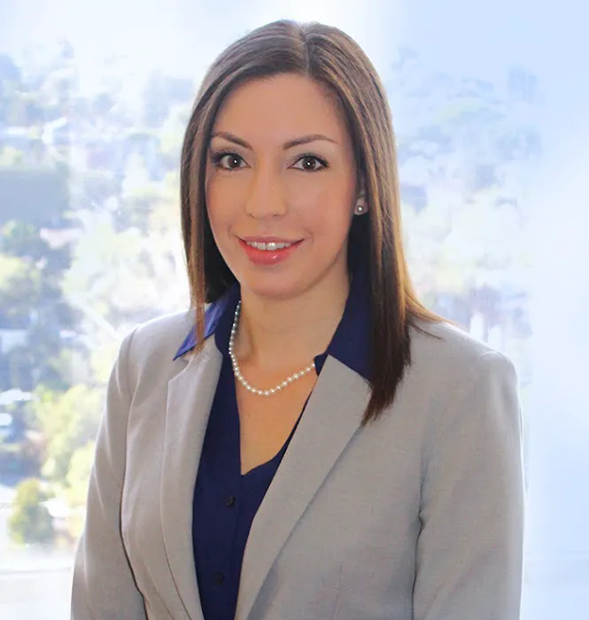 Law Office of Castro & Vindiola 5