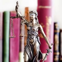 TDC Family Law ico
