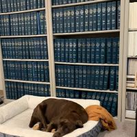 Law Offices of Samuel R. Swift and Ian R. Leslie ico