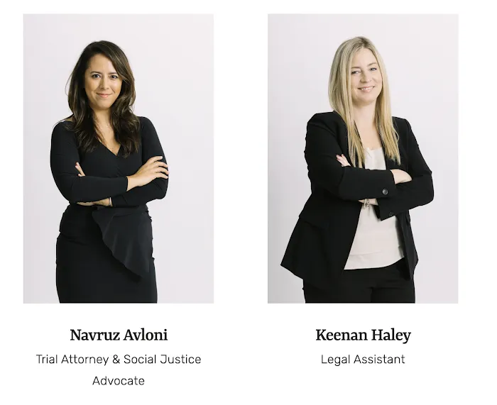 Avloni Law - Sexual Harassment & Discrimination Lawyer 5