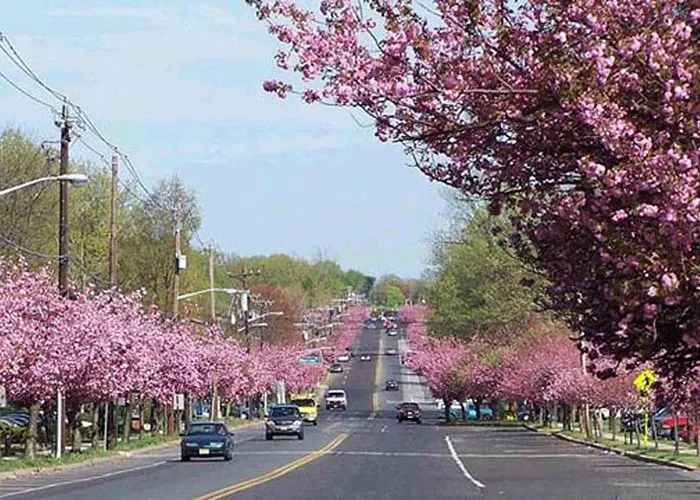 Cherry Hill Personal Injury Lawyer 5