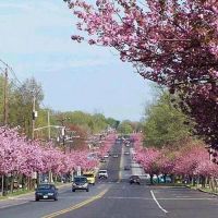 Cherry Hill Personal Injury Lawyer ico