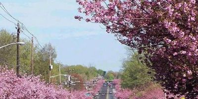 Cherry Hill Personal Injury Lawyer