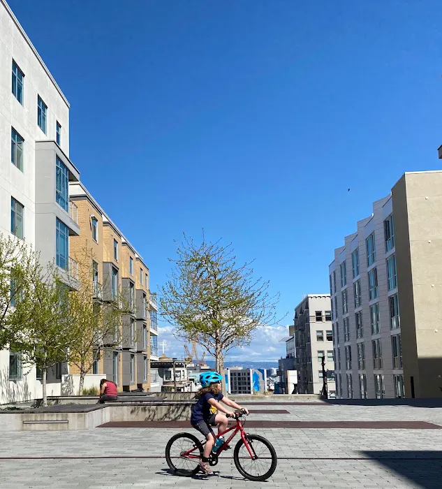 Bicycle Law 5