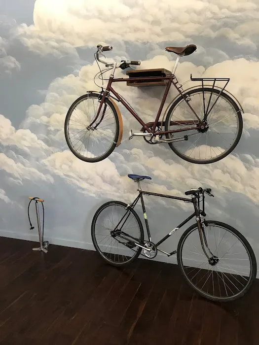 Bicycle Law 5
