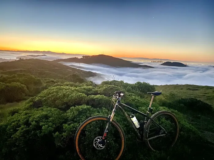 Bicycle Law 5